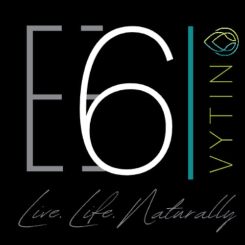 E6 Vytin logo